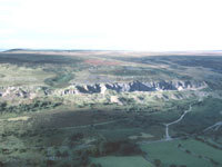 aerial.jpg