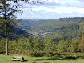 cwmcarn benchandview.jpg