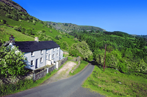 Mayberry Cottage - Copy.jpg
